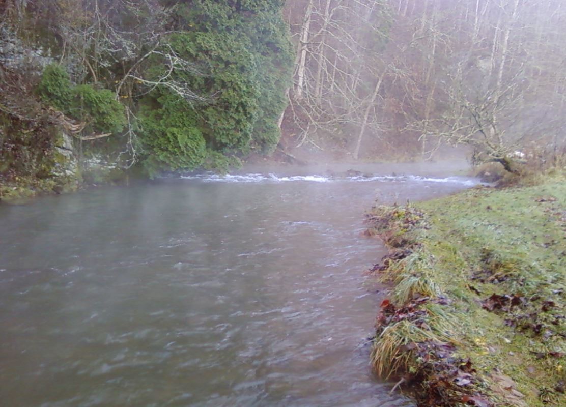 Cedar Springs Trout Farm
